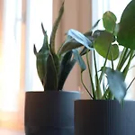 Wohlfühl-insel In Der Altstadt Apartamento *