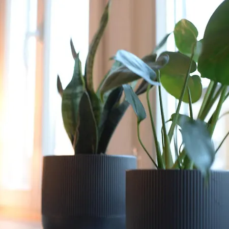 Wohlfuehl-insel In Der Altstadt Mit Wlan, Balkon, Voll Ausgestatteter Kueche & Supermarkt Fusslaeufig In Nur 3 Min Lägenhet *