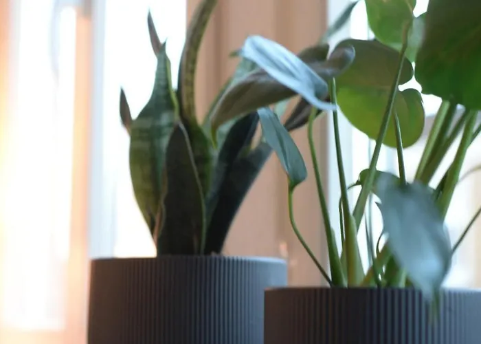 Wohlfuehl-insel In Der Altstadt Mit Wlan, Balkon, Voll Ausgestatteter Kueche & Supermarkt Fusslaeufig In Nur 3 Min Апартаменты *